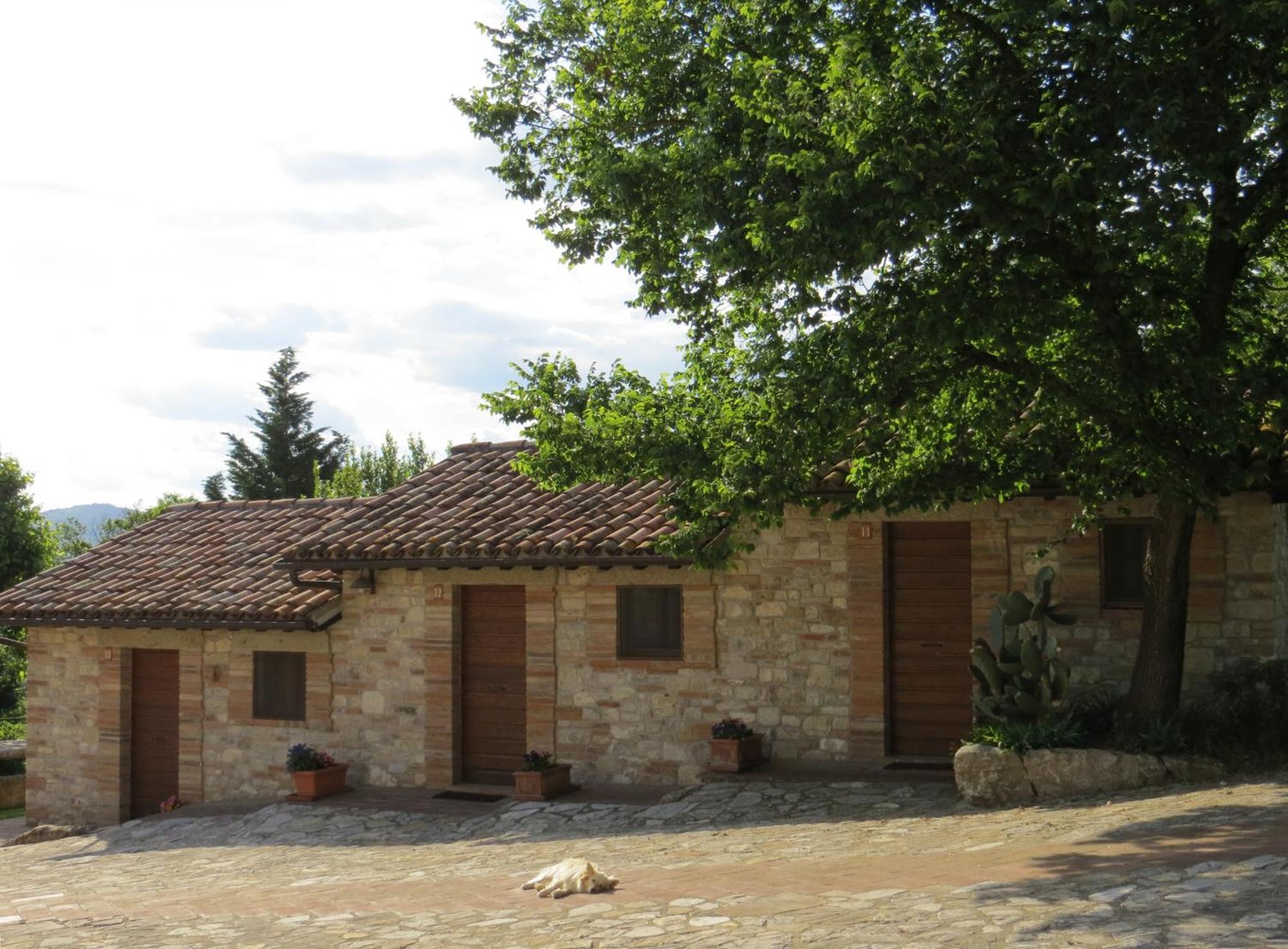 Agriturismo Casale Delle Lucrezie Тоди Екстериор снимка